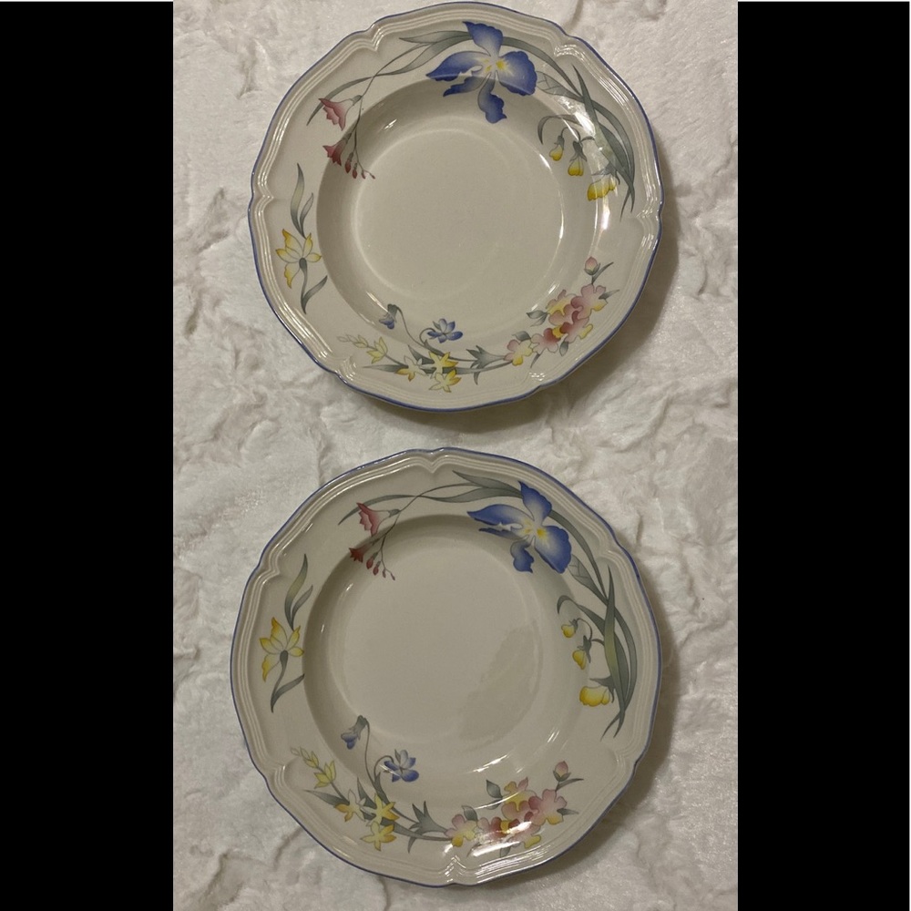 *SOLD* Two Large Rim Soup Bowls 9” RIVIERA by Villeroy & Boch ~ EUC